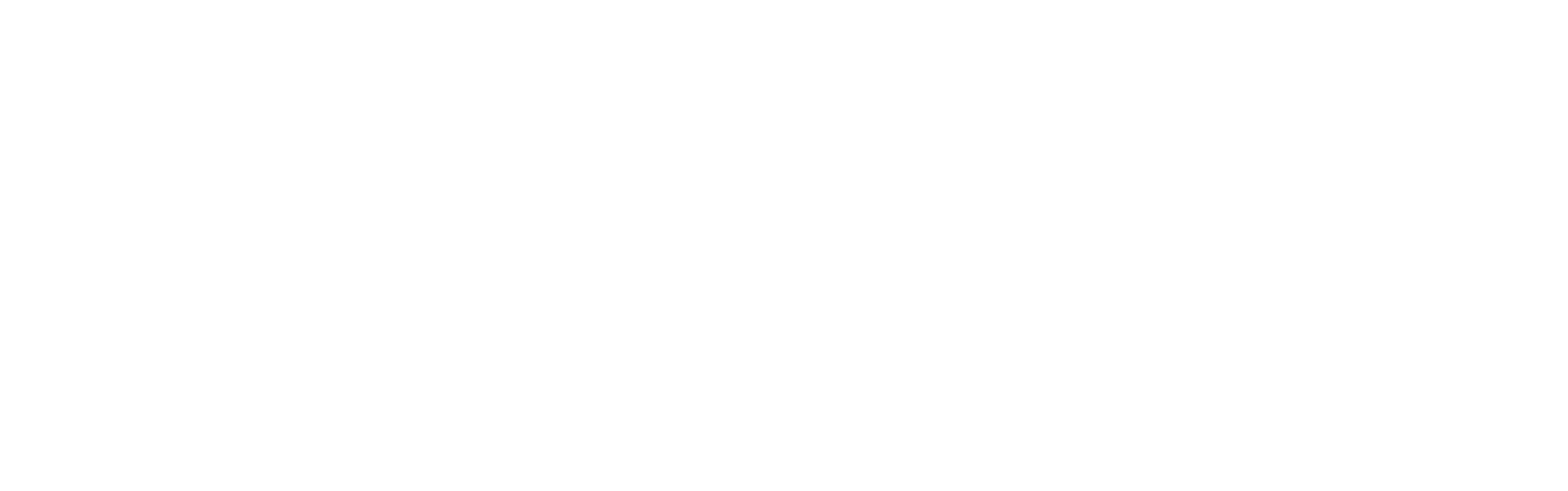 Preiss_Logo_weiá